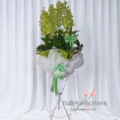 TW10011พวงหรีดต้นกล้วยไม้